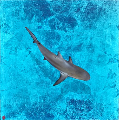 Reef Below by Nick Oneill - Glazed Original Painting on Box Board